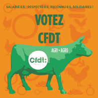 élections Chambres d'Agriculture 2025 : votez CFDT