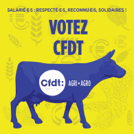 élections Chambres d'Agriculture 2025 : votez CFDT