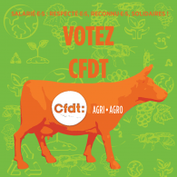 élections Chambres d'Agriculture 2025 : votez CFDT